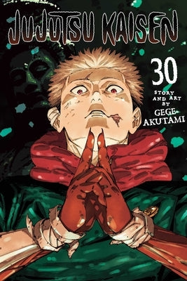 Jujutsu Kaisen, Vol. 30 by Akutami, Gege