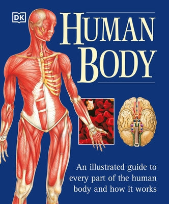 The Human Body: An Illustrated Guide to Every Part of the Human Body and How It Works Paperback DK Publishing (Dorling Kindersley)
