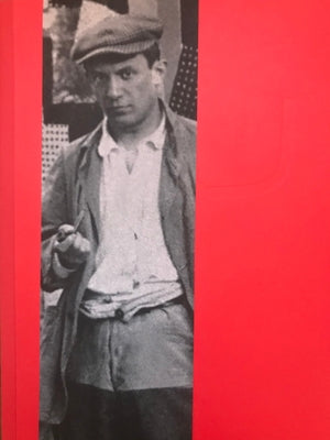Musée Picasso Paris Paperback Flammarion-Pere Castor