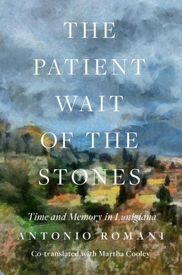 The Patient Wait of the Stones: Time and Memory in Lunigiana by Romani, Antonio