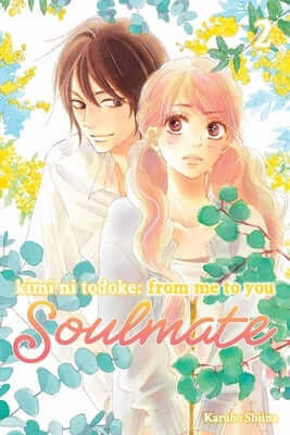 Kimi Ni Todoke: From Me to You: Soulmate, Vol. 2 Paperback Viz Media
