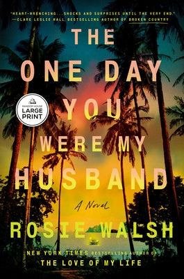 The One Day You Were My Husband by Walsh, Rosie