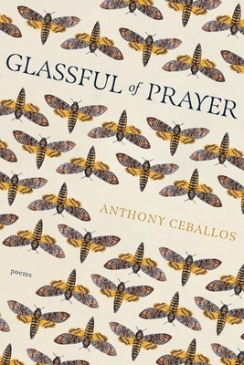 Glassful of Prayer by Ceballos, Anthony