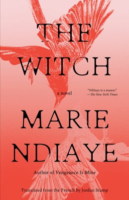 The Witch by Ndiaye, Marie