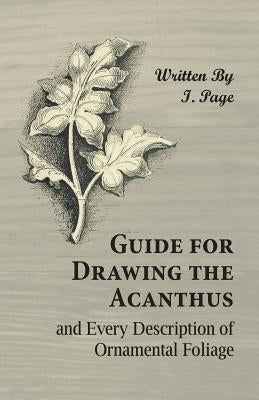 Guide for Drawing the Acanthus, and Every Description of Ornamental Foliage Paperback Owen Press