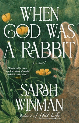 When God Was a Rabbit by Winman, Sarah